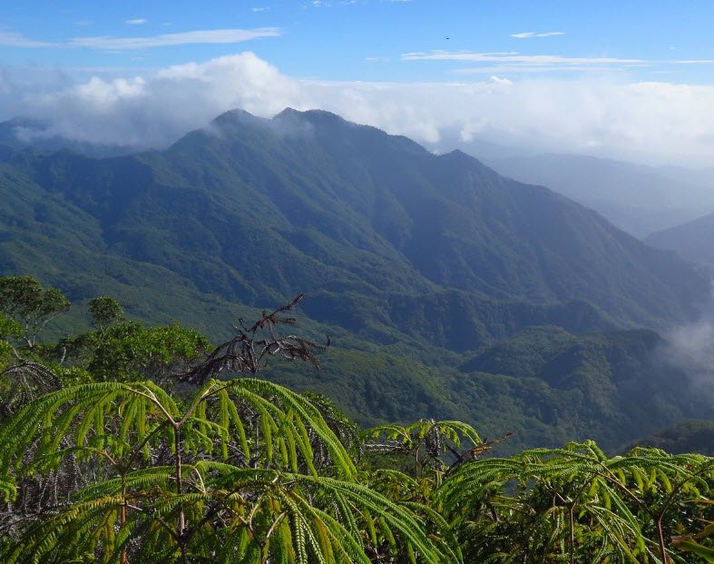 Mount Tabwemasana, Espiritu Santo Island, Vanuatu